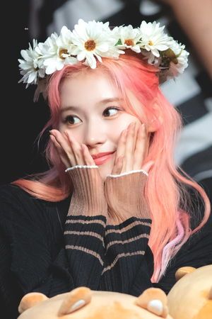 Photo : Sana