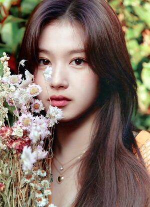 Photo : Sana