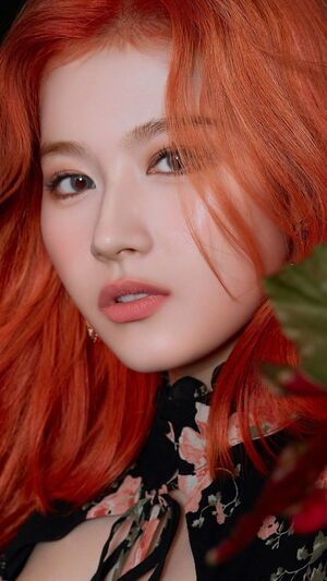Photo : Sana