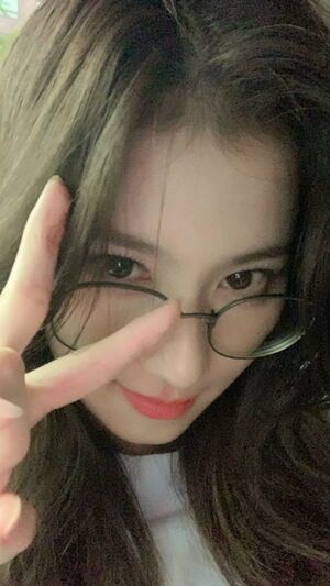 Photo : Sana