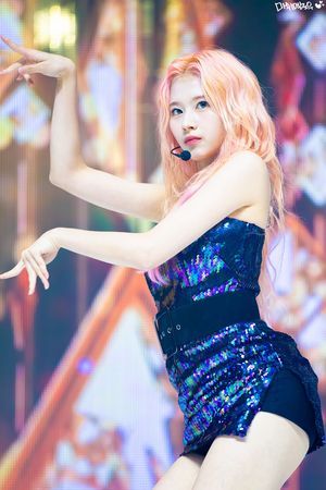 Photo : Sana