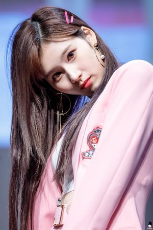 Photo : Sana