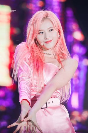 Photo : Sana