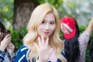 Photo : Sana