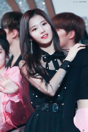 Photo : Sana