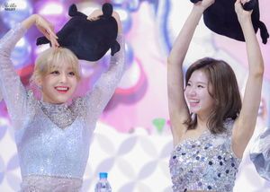 Photo : Happy Jihyo & Sana