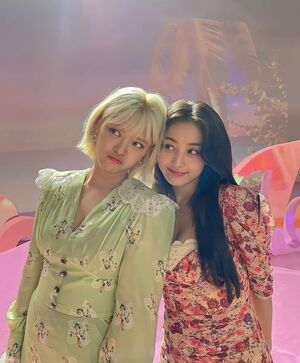 Photo : Jihyo - Twice