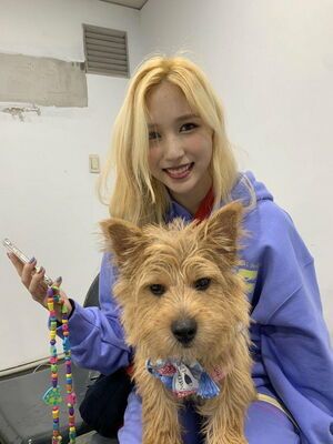 Photo : Mina