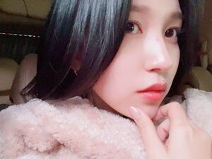 Photo : Mina bubble update 2