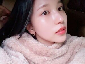 Photo : Mina bubble update 24.01.22
