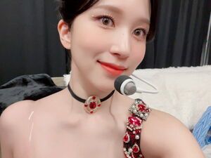 Photo : Mina bubble update