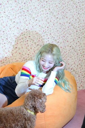 Photo : Dahyun