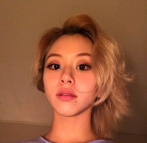 Photo : Chaeyoung selca