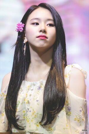 Photo : Chaeyoung
