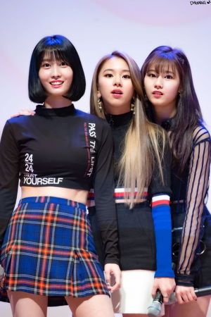 Photo : Momo, Chaeyoung & Sana