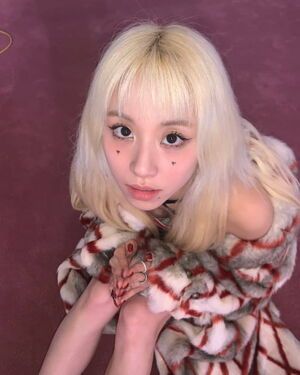 Photo : Chaeyoung - Twice