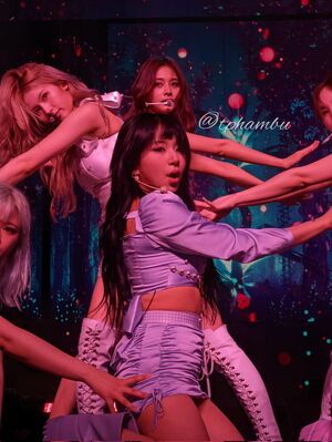 Photo : More and More Chaeyoung (+ Sana, Tzuyu)