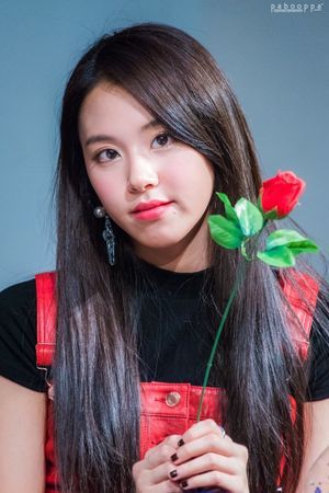 Photo : Chaeyoung