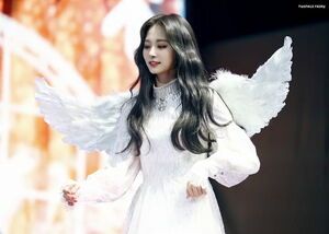 Photo : Angel Tzuyu