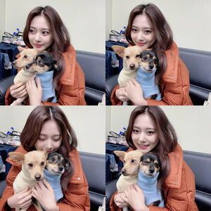 Photo : Tzuyu bubble update