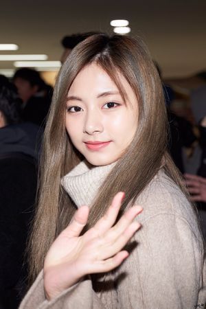 Photo : Chou Tzuyu at the airport