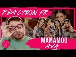 Réaction MV 