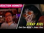 Réaction MV 