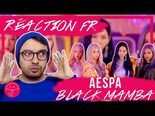 Réaction MV 