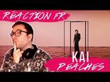 Vidéo de Monsieur Parapluie sur Peaches par Kai