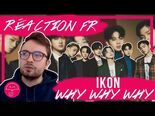 Vidéo de Monsieur Parapluie sur Why Why Why par iKon